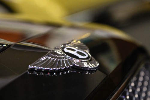 Bentley FS Demo-10